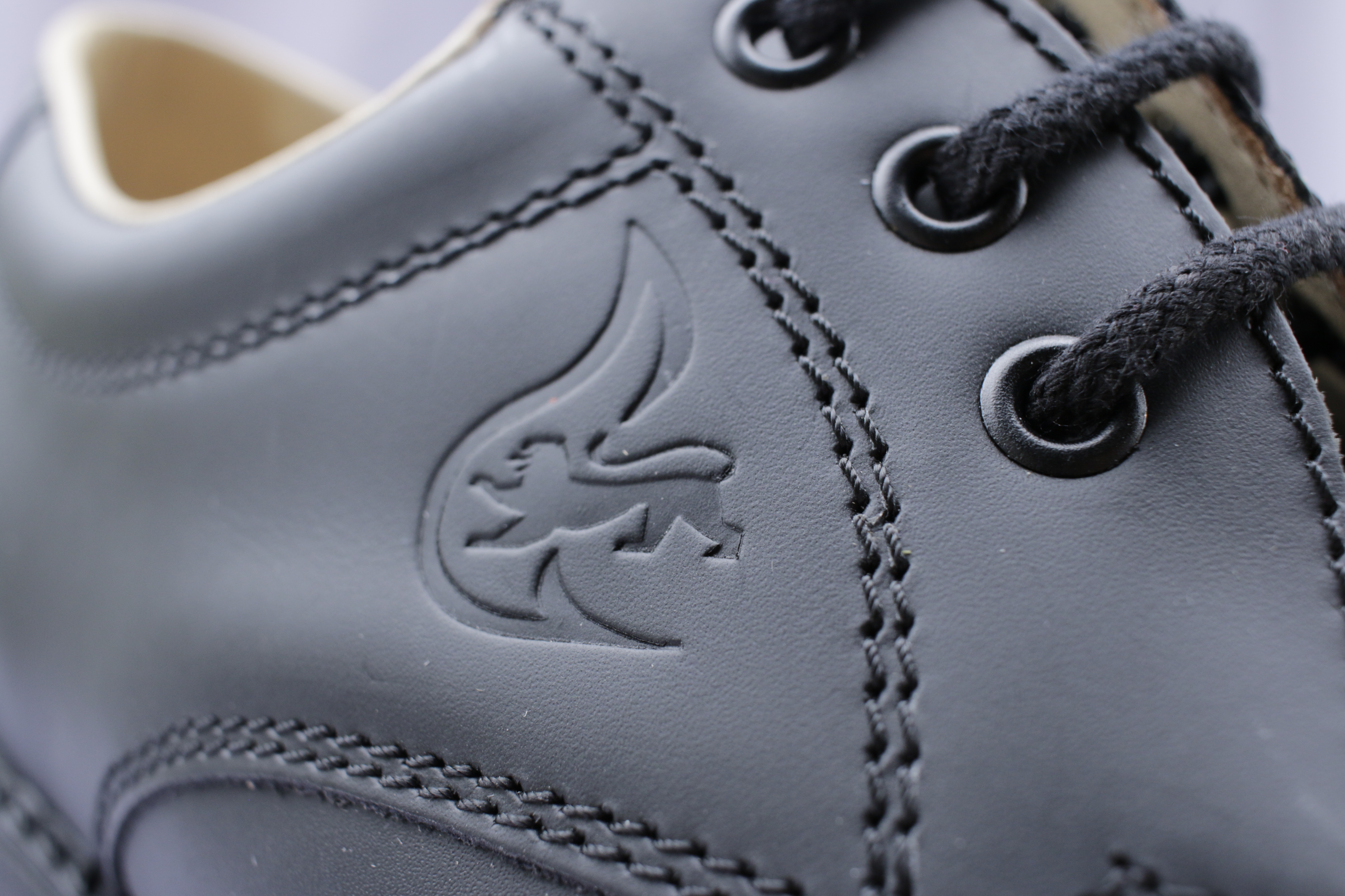 EWS Diensthalbschuh Baden-Württemberg EWS Diensthalbschuh Baden-Württemberg